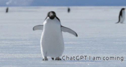Rushing Penguin Chatgpt I'm Coming Parody GIF