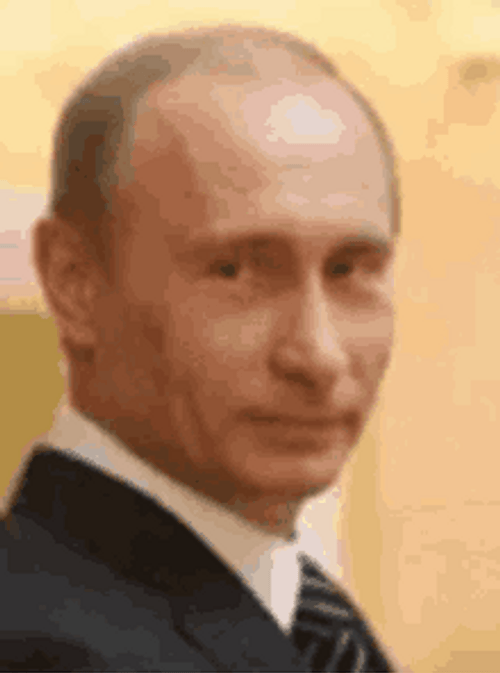 Russian President Vladimir Putin Winking GIF