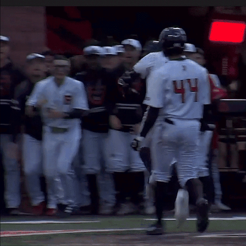 Rutgers Baseball Players For The Win GIF