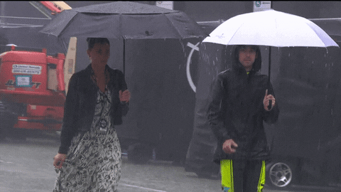 Ryan Blaney Thumbs Up Pouring Rain GIF