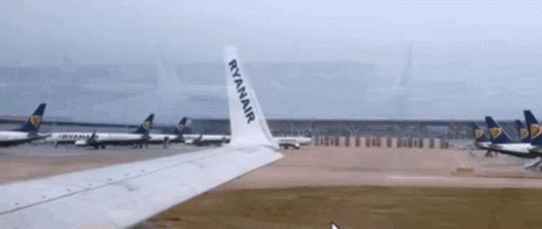 Ryanair Planes Lined Up on Tarmac