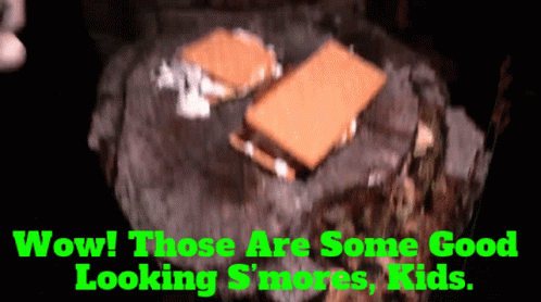 S'mores on Rock Saying Wow Those Are Some Good Looking S'mores Kids