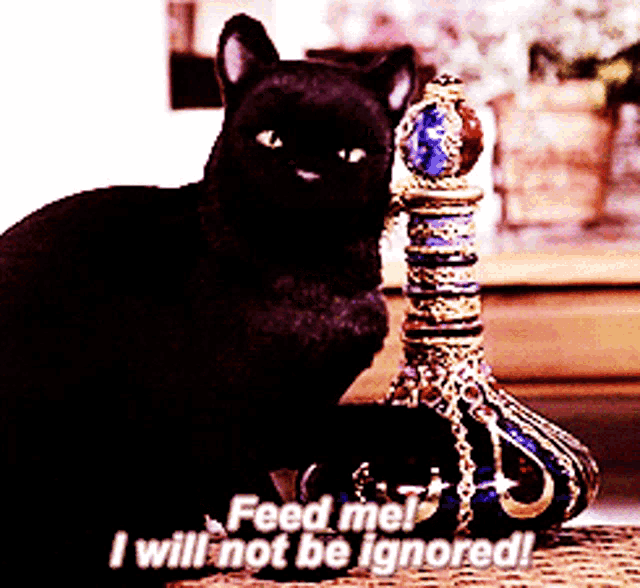 Sabrina The Teenage Witch Salem Saberhagen Gif GIF