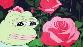 Sad Pepe The Frog Pink Rose Aesthetic GIF