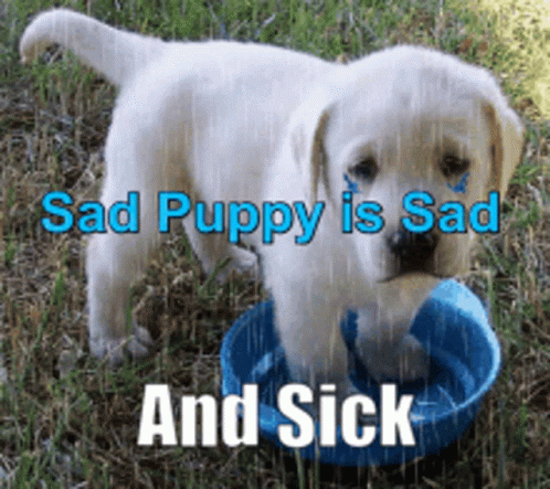 Sad And Sick Puppy With Bowl Of Water GIF