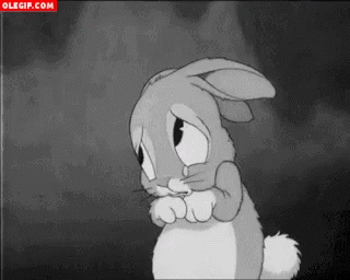 Sad Bunny Rabbit in Black and White