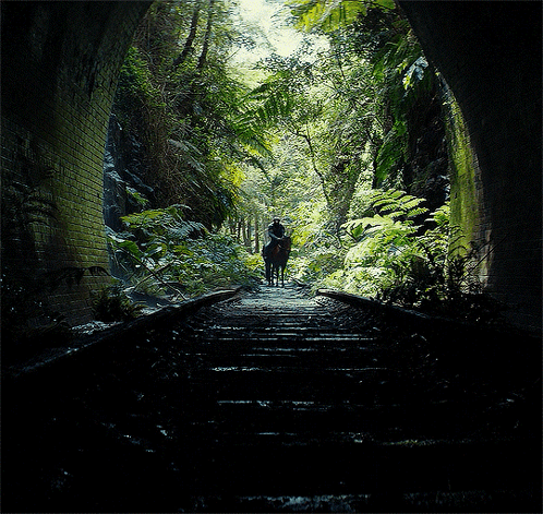 Sad Caesar Leaving The Place GIF