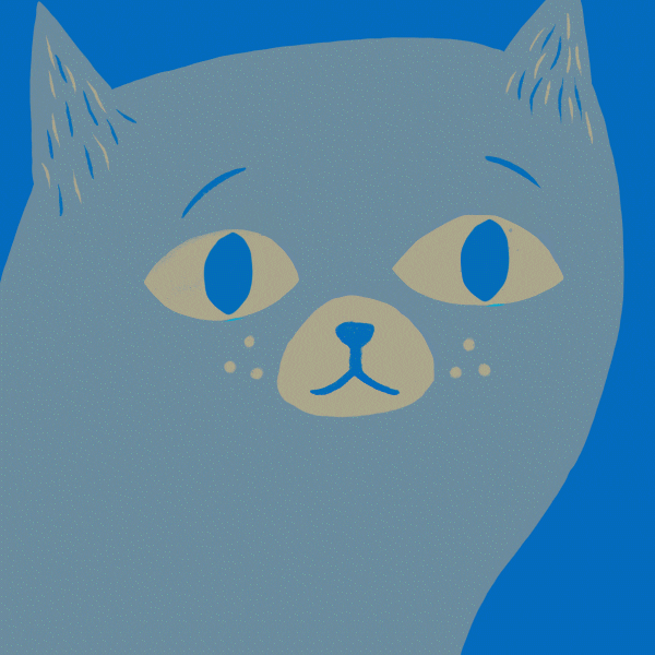 Sad Cat Animated Crying GIF