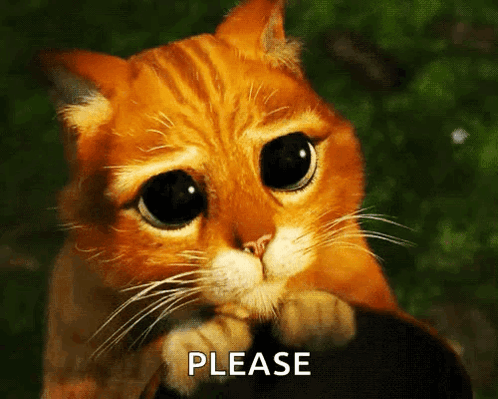 Sad Cat Asking Please GIF
