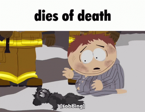 Sad Cat Death South Park Animation GIF