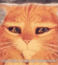 Sad Cat Face Saying You Still Love Me Tanaisha
