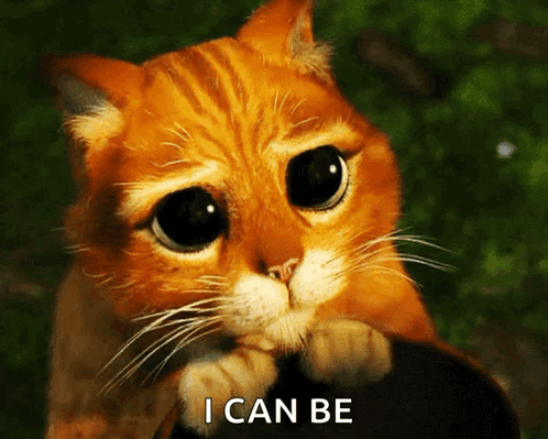 Sad Cat I Can Be