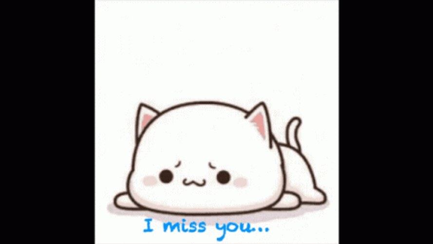 sad kitty i miss you