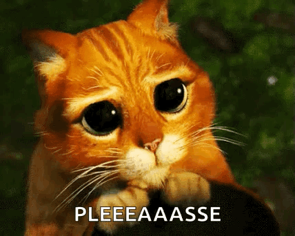 Sad Cat Pleeeaasse GIF