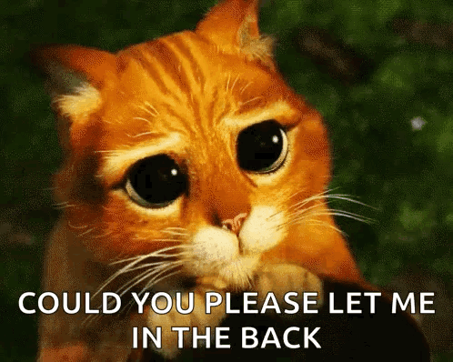 Sad Cat Saying Let Me In