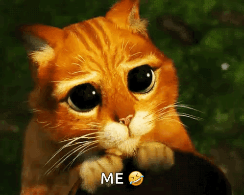 Sad Cat Saying Me