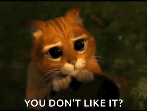 Sad Cat Saying You Don't Like It
