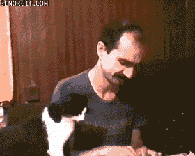 Sad Cat With A Crying Guy GIF