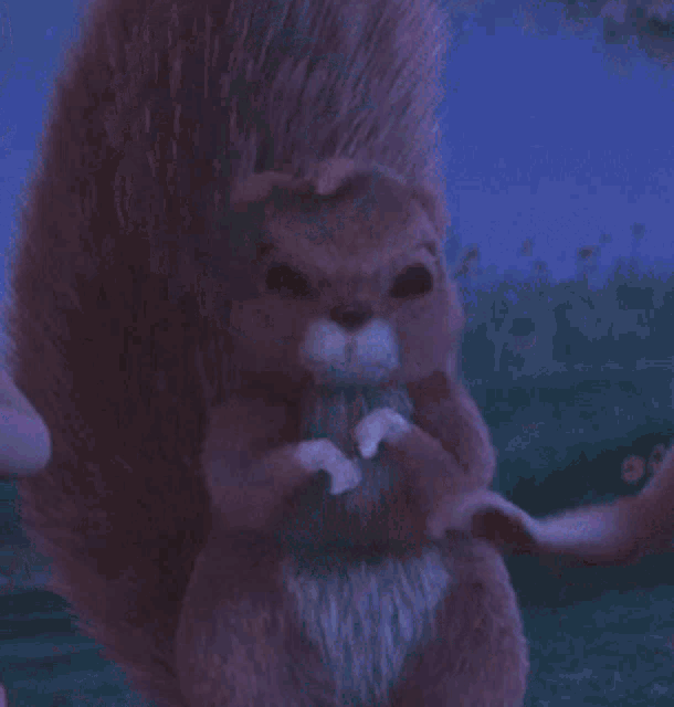 Sad Crying Squirrel GIF