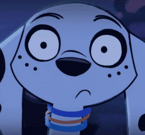 Sad Dalmatian Face Close Up