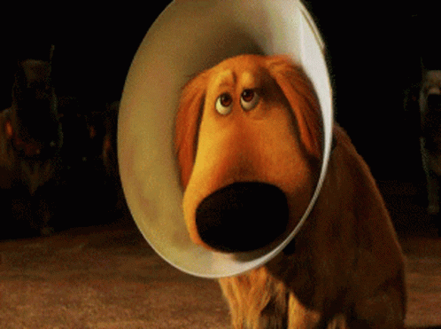 Sad Dog Dug Cone Of Shame GIF
