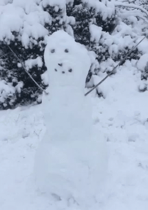 Sad Frosty Snowman GIF