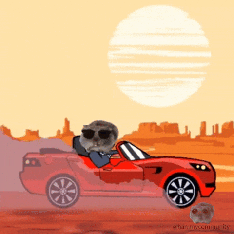 Sad Hamster Driving A Sport Car GIF