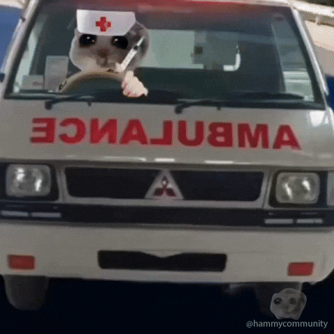 Sad Hamster Driving Ambulance GIF