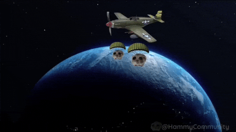Sad Hamster In The Outer Space GIF