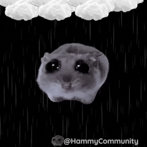 Sad Hamster In The Rain GIF