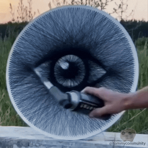 Sad Hamster On The Frame GIF