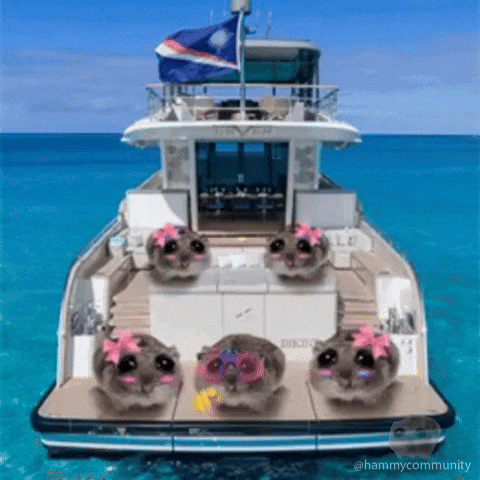 Sad Hamster On The Sea GIF