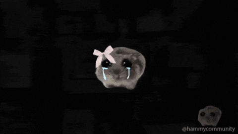 Sad Hamster Outer Space GIF
