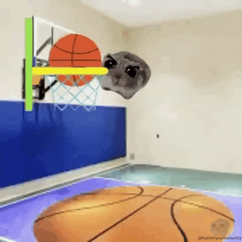 Sad Hamster Playing Basketball GIF