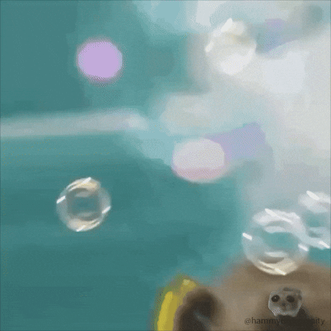 Sad Hamster Scuba Diving GIF
