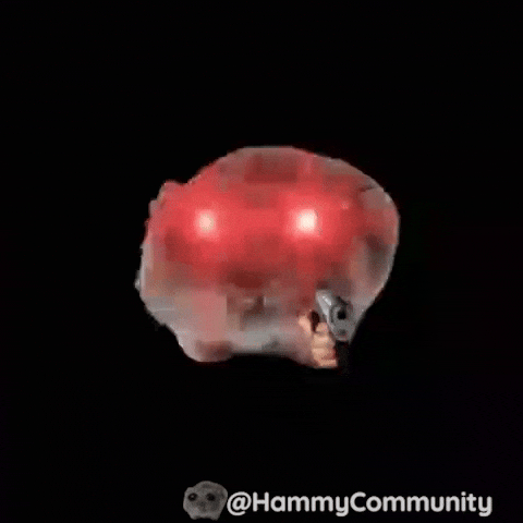 Sad Hamster Shooting GIF