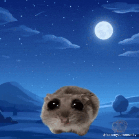 Sad Hamster Taken By Ufo GIF