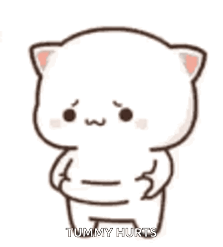 Sad Mochi Tummy Hurts GIF
