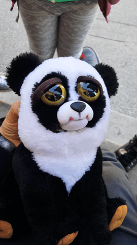 Sad Panda Angry Rawr GIF