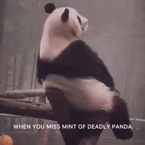 Sad Panda Regret GIF