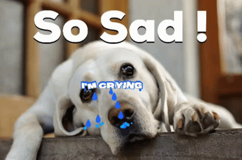 Sad Puppy Crying GIF