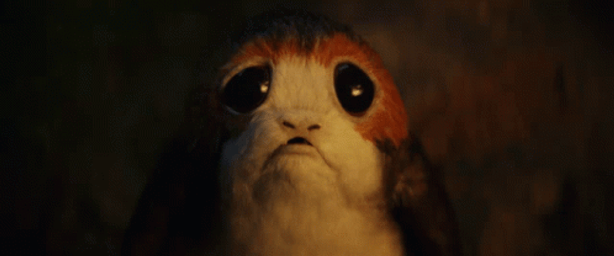 Sad Puppy Watching Bonfire GIF