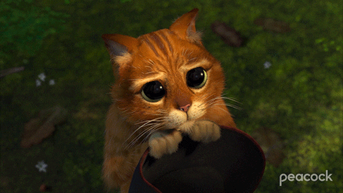 Sad Puss Batting Eyes In Boots GIF