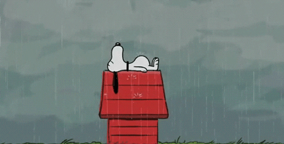 Sad Snoopy In Rain GIF