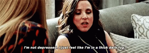 Sad Veep Selina Meyer Not Depressed GIF