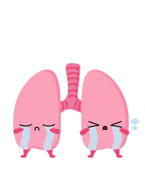 Cute Sparkling Lungs Animation GIF 