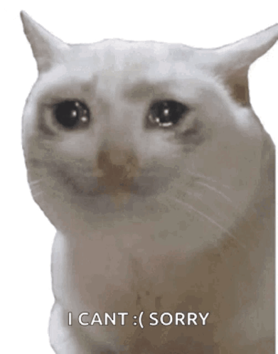 Sad White Cat Saying I Cant Sorry
