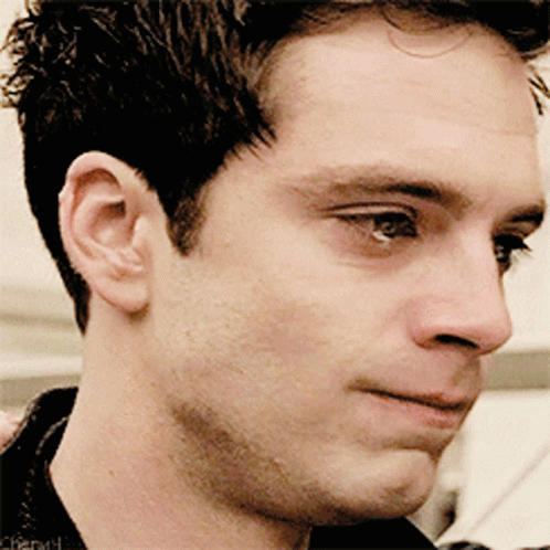Sad Yes Sebastian Stan GIF