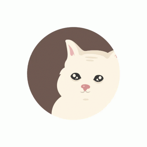 Sad Yes White Cat GIF