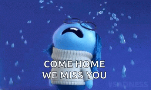 Sadness Crying We Miss You GIF